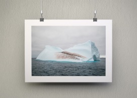 Fine Art Print