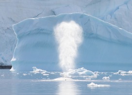 Blow of a Humback Whale (Antarctic Peninsula)