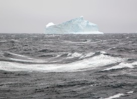 Iceberg (East Greenland)