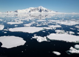 Ice floes (Antarctic Peninsula)