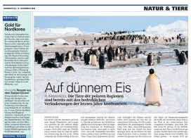 Mittelland Zeitung: Background report on climate change in Antarctica (2006)