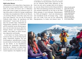 Natur: Article on Phytoplancton (2020)