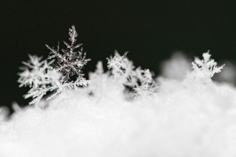 Snowflakes (Zurich, Switzerland)