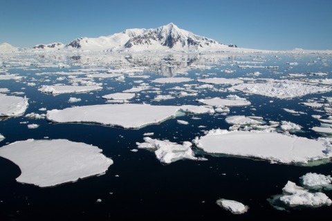 Treibeis (Antarktische Halbinsel)