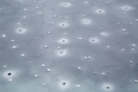 Meereis (Ostgrönland)